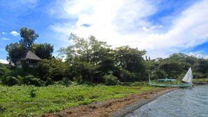 Weekend in Kapusod, Mataas na Kahoy: A Treehouse by Taal Lake