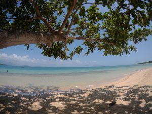 Puerto Princesa, Palawan: Complete Budget and Travel Guide